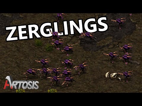 Caster Muse Star League Returns with a Bang! - Action vs. Best