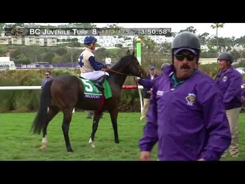 Mendelssohn Wins Breeders' Cup Juvenile Turf Grade I Stakes Race 8 at Del Mar 11/03/17