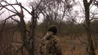 preview picture of video 'RIFLE HUNTING IMPALA WITH KANZILI'