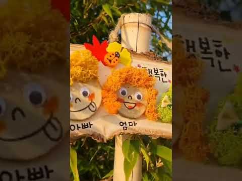 스트레스를 날리는 손쉬운 취미 5가지