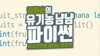 문자열 분리하기 | 유기농냠냠파이썬 | 김왼손의 왼손코딩