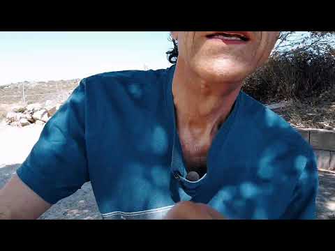 Country church of San Leonardo - Luogosanto-Luras, Sardinia