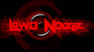 Outasight - Tonight Is The Night (LOWD NoiZeZ Remix)