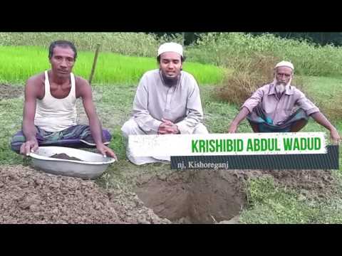 চারা রোপনের জন্য মাটিতে কত বড় গর্ত করা জরুরী