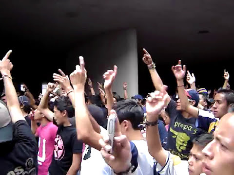 "REBEL PUMAS de la UNAM (TUNEL)" Barra: La Rebel • Club: Pumas