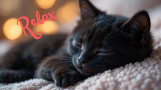 Peaceful Black Cat Dreams ???? – 1 Hour of Purring Sleep Sounds ????????