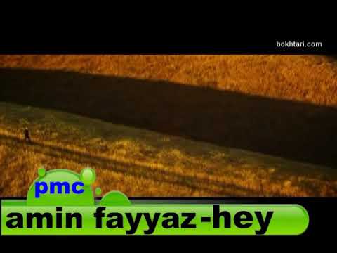 Amin Fayyaz - hey