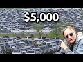 America Is About To Find Out Car Prices Just Got Insane