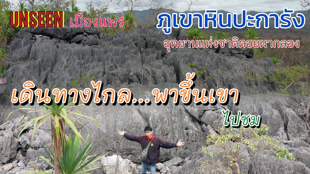 ภูเขาหินปะการัง