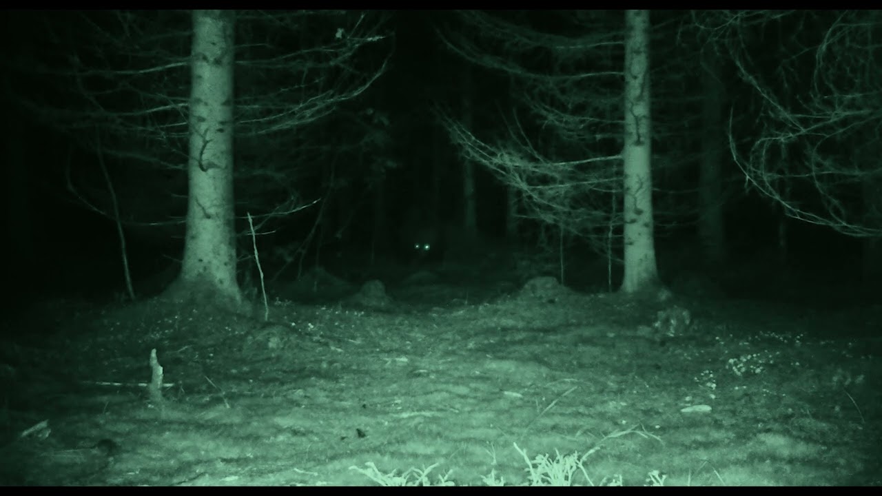 Trailer | Arcturus | Tuisku Lehto