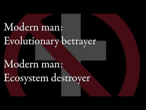 Bad Religion - Modern Man Lyrics