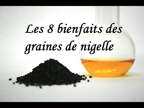 download lagu mp3 mp4 Le Nigelle, download lagu Le Nigelle gratis, unduh video klip Le Nigelle