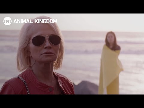Animal Kingdom Season 2 (Promo 'Family')