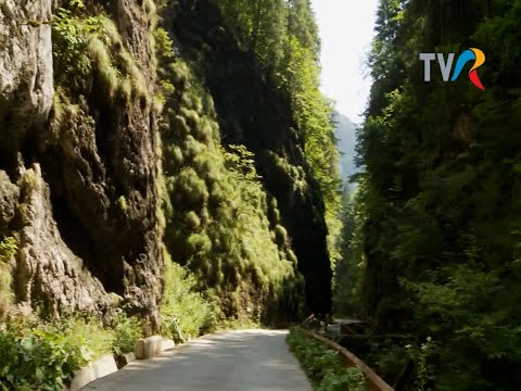 Parcul Natural Apuseni