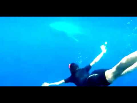 Sergio Ramos nadando entre tiburones