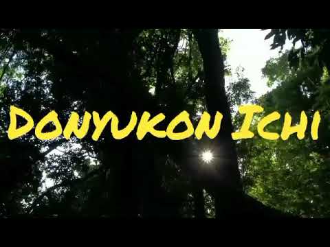 Donyukon Ichi