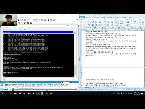 [CCNA 4]PT 8.1.1.8 Troubleshooting Challenge - Documenting the Network(ver.KOR)