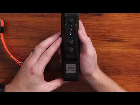 Support: Pairing a Collar with a PRO 550 Plus