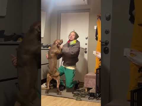 9 марта 2026 г.