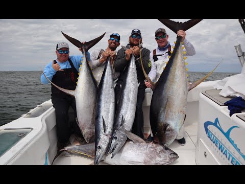 Venice Louisiana World class Tuna and Wahoo fishing