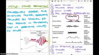CHEYNE STOKES RESPIRATION