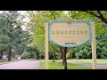 Adult Swim Bump Welcome To Lemoncurd MOCK