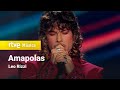Leo Rizzi - "Amapolas" (¡Feliz 2023!)