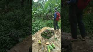 Download lagu Komedi sunda by BATRAWALI GRUP mp3