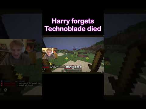 Harry finds out Technoblade died