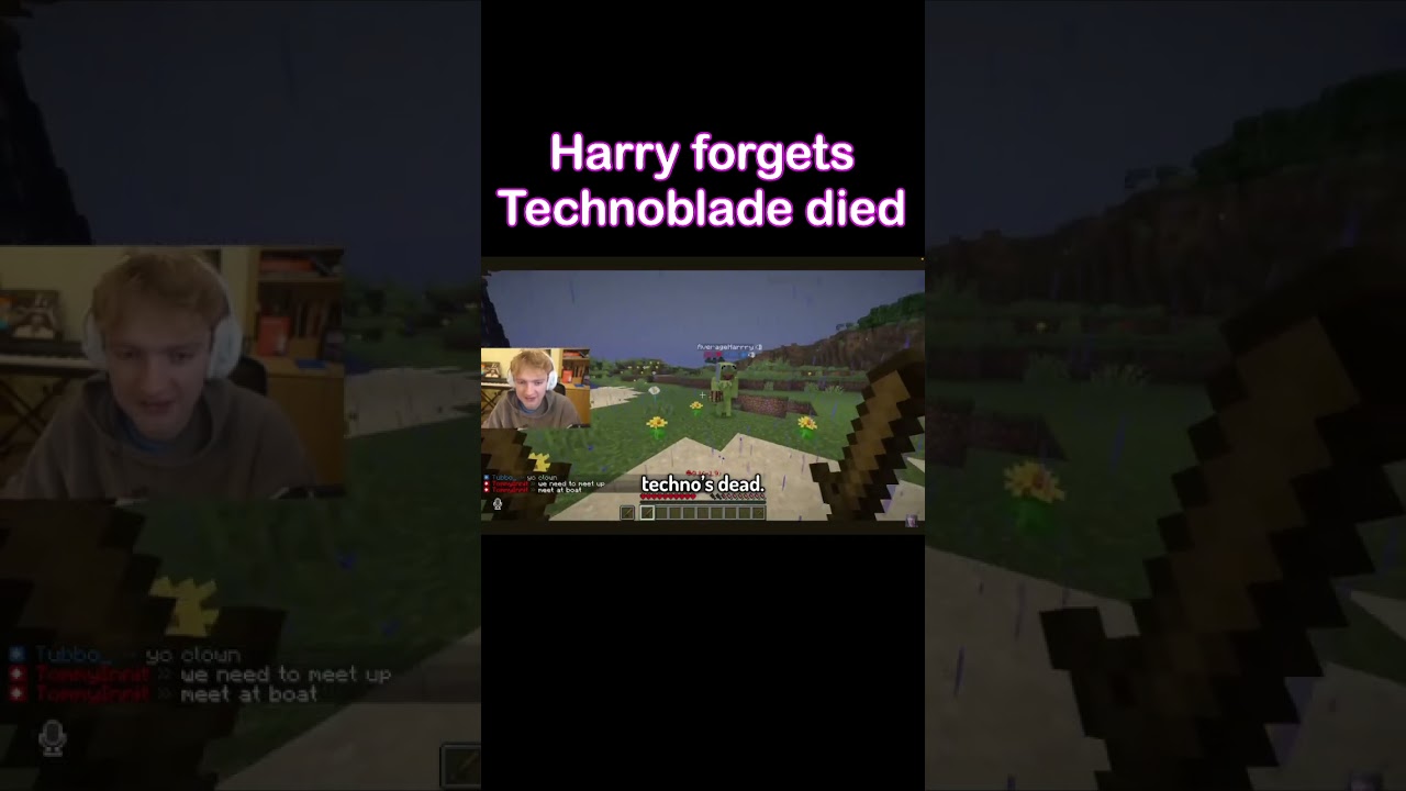 Harry finds out Technoblade died