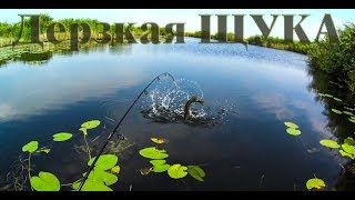 Как тебе удалось вырваться на рыбалку