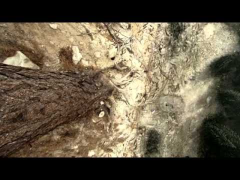 Cuerpo Humano al Límite El Sistema Nervioso - Parte 2