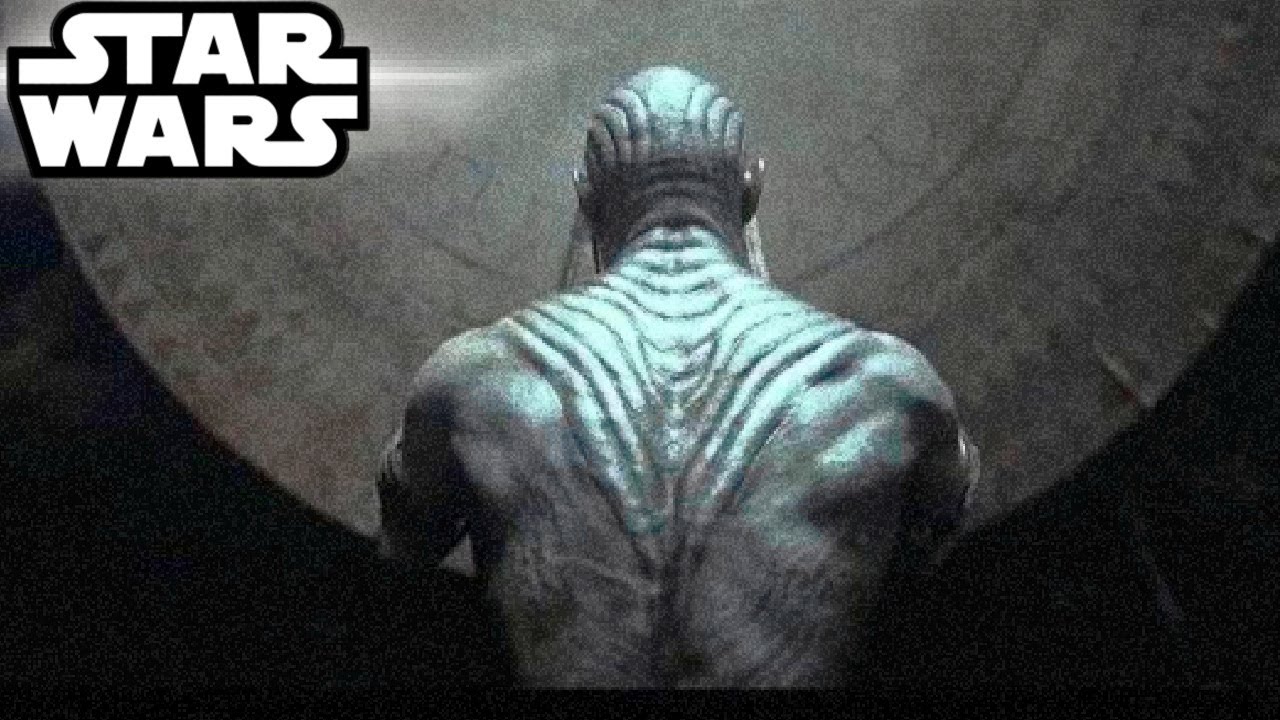 The Horrific Dark Side Creation ACCIDENTALLY Made By the "Silver" Jedi Order