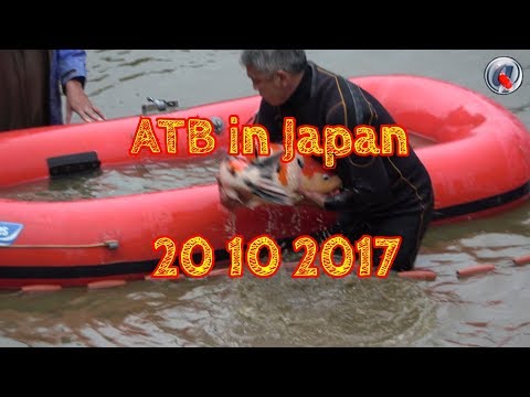 ATB in Japan 20 10 2017