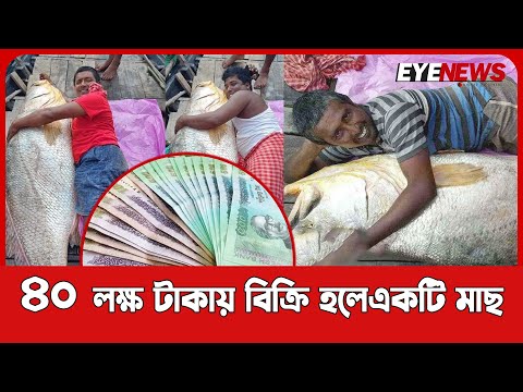 ৪০ লক্ষ টাকায় বিক্রি হলো একটি মাছ, রাতরাতি ধনী জেলে