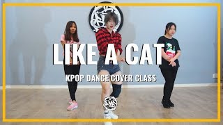 LIKE A CAT (AOA) DANCE COVER / MINT Kpop Dance Cover Class
