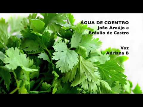 Água De Coentro video