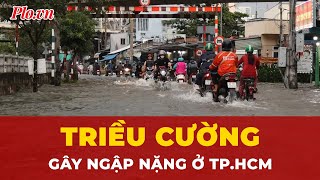 High tide, hundreds of households in Ho Chi Minh City submerged in water | Breaking news