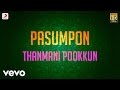 Pasumpon Thanmani Pookkun Lyric Vidyasagar