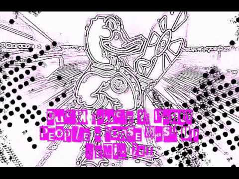 Duck Sauce - Barbra Streisand VS Party People - Horse Mash Up Remix 2011