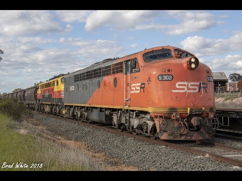 S302 and B75 at North Bendigo on 9096 grain from Elmore- 4/9/18