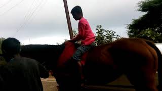 preview picture of video 'Horse riding in my son'