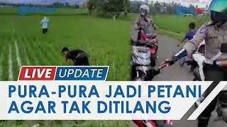 Aksi Kocak 2 Pemuda di Gorontalo, Pura-pura Jadi Petani di Sawah saat Terkena Razia Polisi