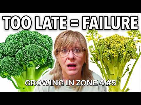 When to Start Broccoli, Cabbage & Brussels Sprouts Indoors (Zone 4 Guide)