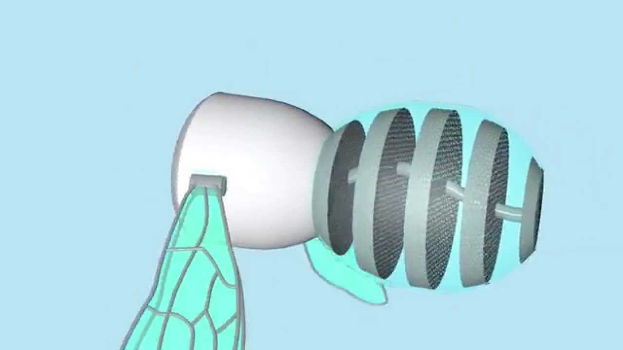 Design Contest Out-of-the-Box Prize - B-PURE - Sustainable School Of Design