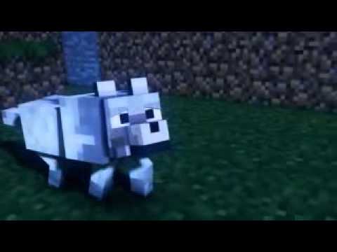 Musica da intro do wolfao