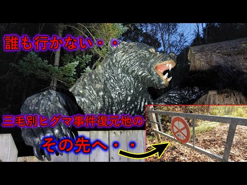 IUCN分類における絶滅の危険性を示す図。