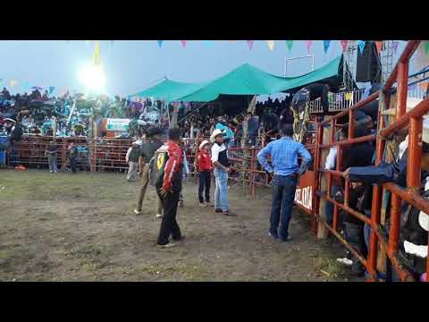 TORO PIRATA VS ESTRELLA DE SOLA