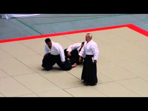 Endo Shihan Embu, 53rd All Japan Aikido Embukai 2015