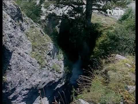 Plave Guci  "Kurore Bukurie"  (pjesa e pare)